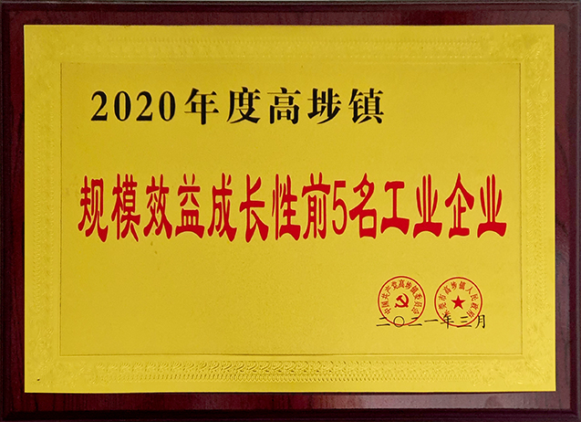 2020年度高埗鎮(zhèn) 規(guī)模效益成長(zhǎng)性前5名工業(yè)企業(yè)